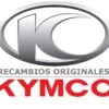RECAMBIO KYMCO PERNO BRIDA SH 6X50 96001-06050-08G