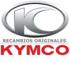 RECAMBIO KYMCO RODAMIENTO 96106-LDB5-E0